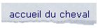 accueil du cheval