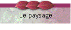 Le paysage